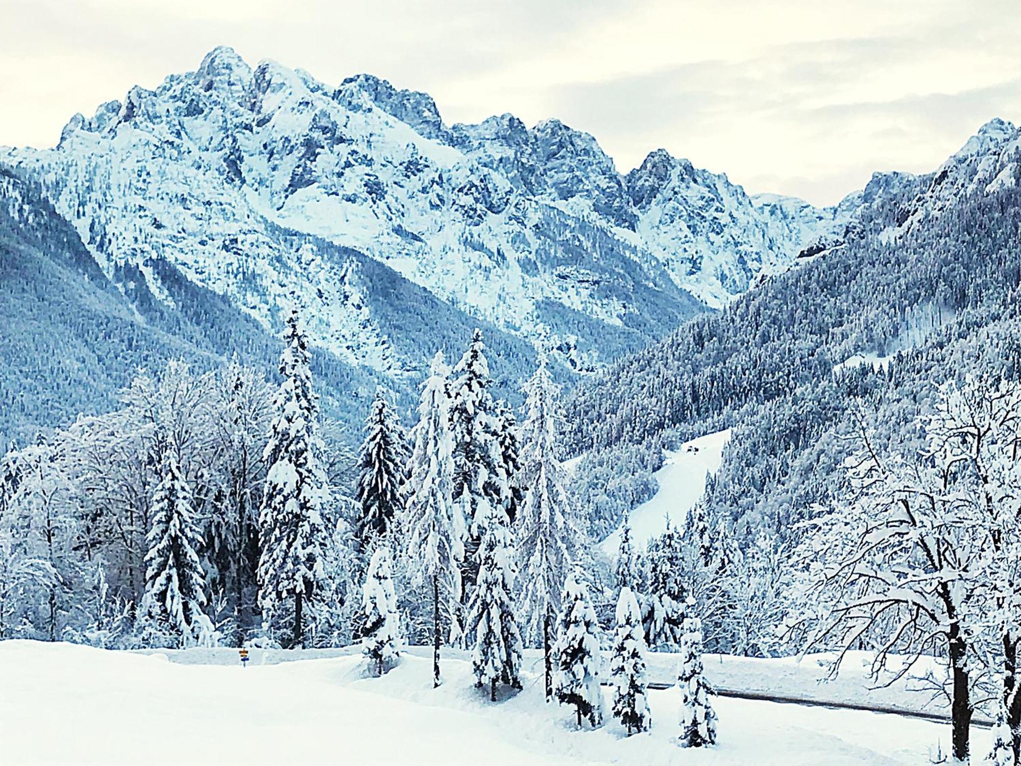 Pr'Gavedarjo Eco Heritage B&B Kranjska Gora Buitenkant foto